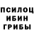 Галлюциногенные грибы Psilocybe Cronos Titan