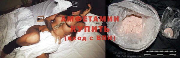 ГАЛЛЮЦИНОГЕННЫЕ ГРИБЫ Лагань