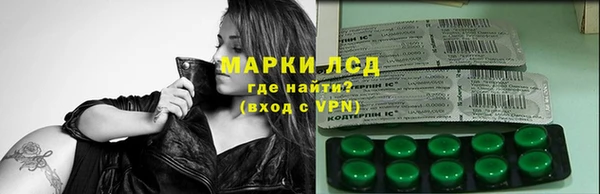 ГАЛЛЮЦИНОГЕННЫЕ ГРИБЫ Лагань