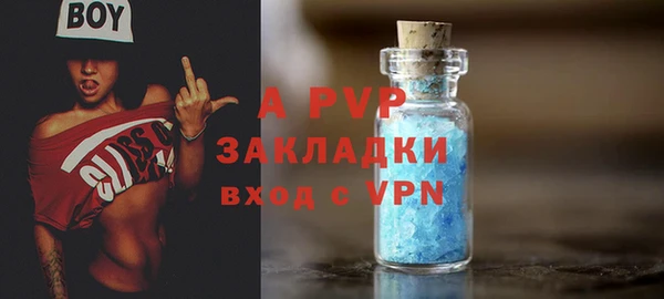 скорость Ладушкин