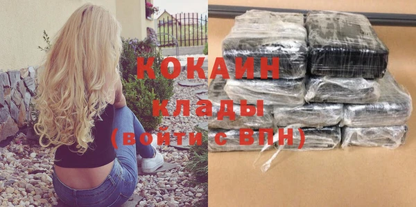 ГАЛЛЮЦИНОГЕННЫЕ ГРИБЫ Лагань