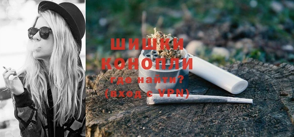 ГАЛЛЮЦИНОГЕННЫЕ ГРИБЫ Лагань