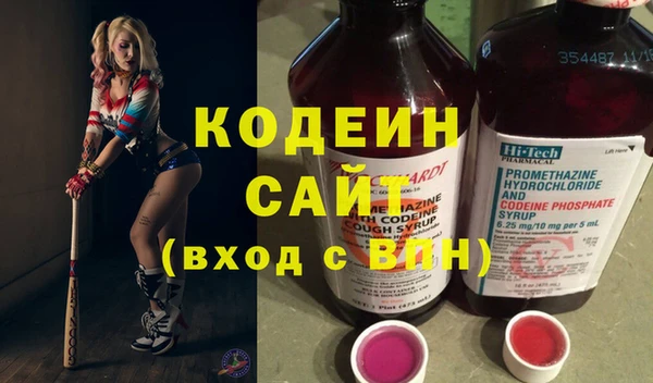 ГАЛЛЮЦИНОГЕННЫЕ ГРИБЫ Лагань