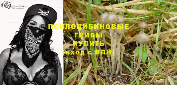 прущая мука Лабытнанги